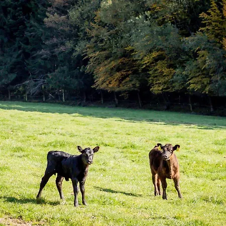 Apartamento Am Sperchenedergut Aspach im Innkreis