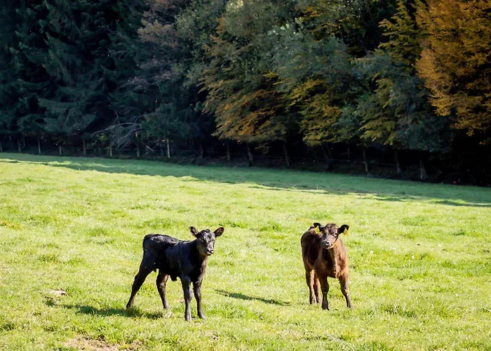 Apartmán Am Sperchenedergut Aspach im Innkreis