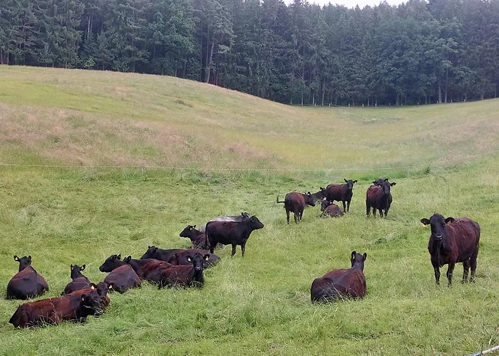 Am Sperchenedergut *