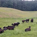 Am Sperchenedergut *