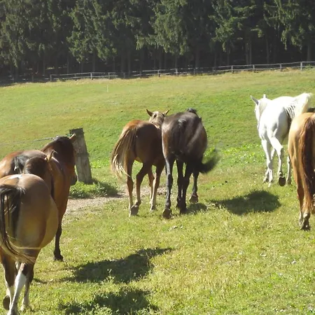 Appartamento Am Sperchenedergut