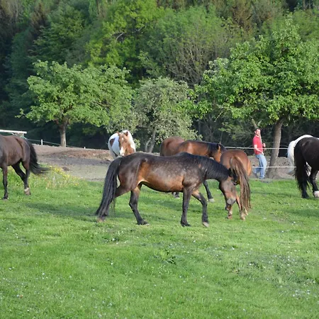 Appartamento Am Sperchenedergut Aspach im Innkreis