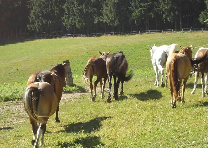 Apartment Am Sperchenedergut