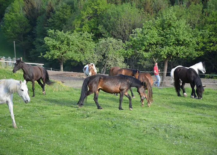Apartment Am Sperchenedergut Aspach im Innkreis